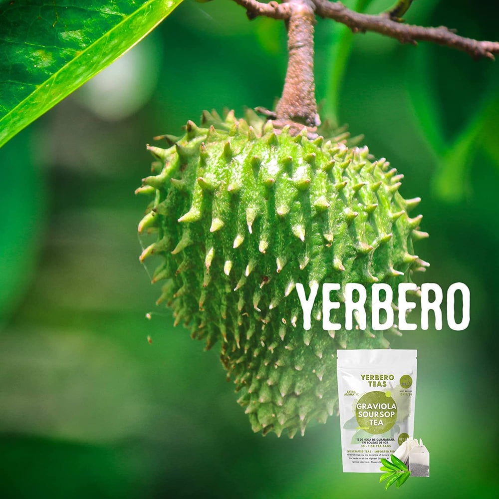 YERBERO close-up of whole graviola leaf texture showing quality and natural aroma