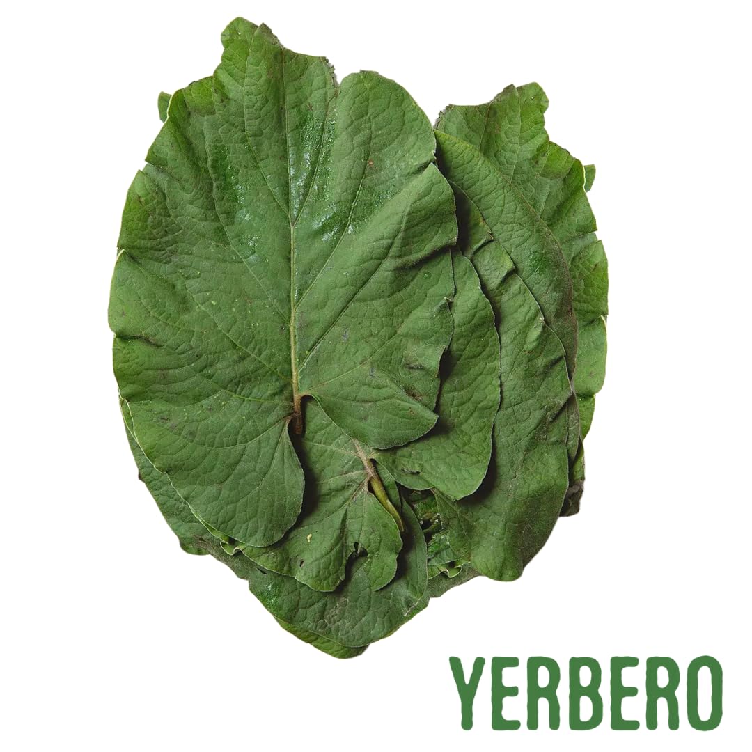 Yerbero top-down view of whole dried leaves displaying uniform size and quality