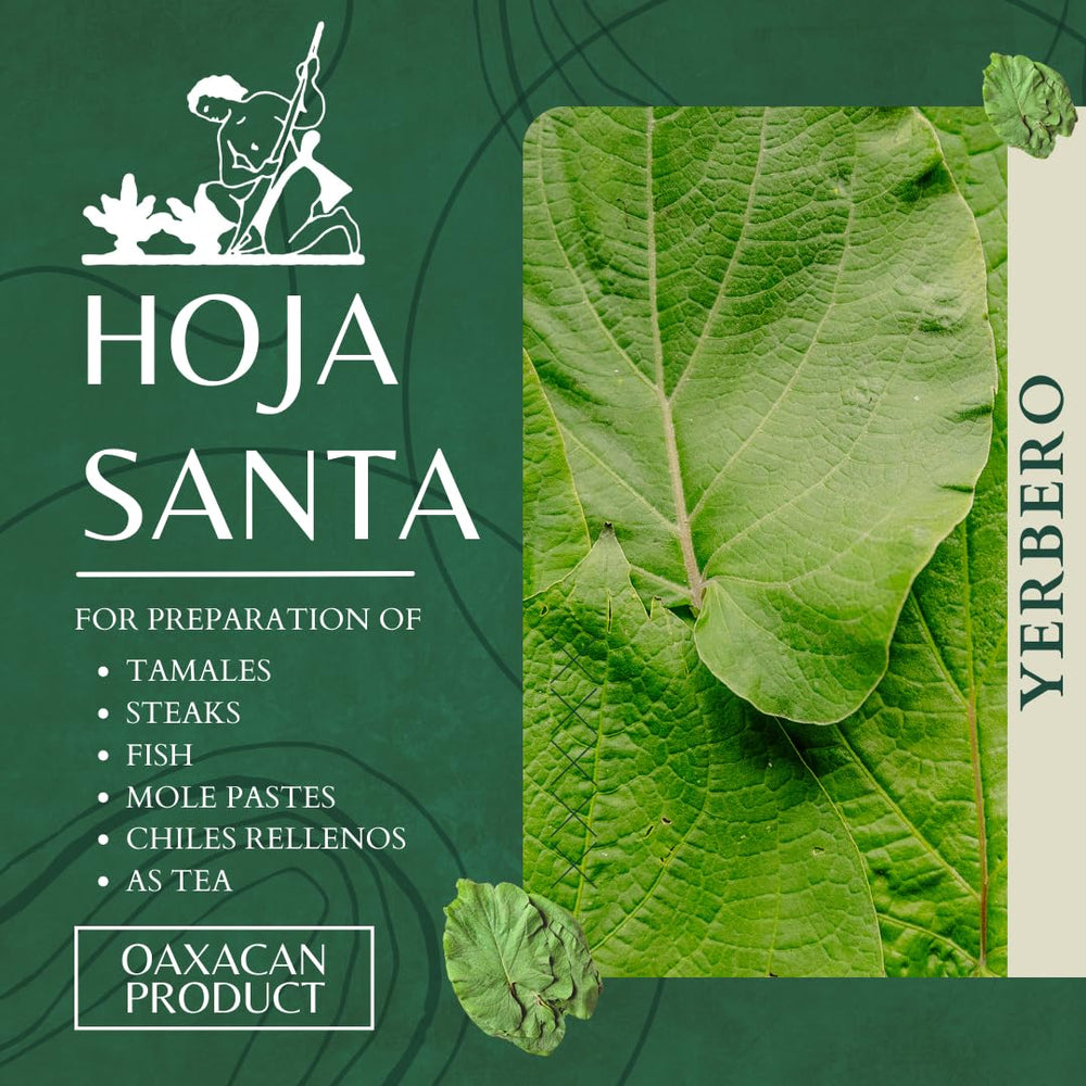 Yerbero close-up of leaf texture and veins highlighting intact structure and aroma