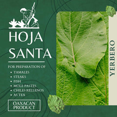 Yerbero close-up of leaf texture and veins highlighting intact structure and aroma