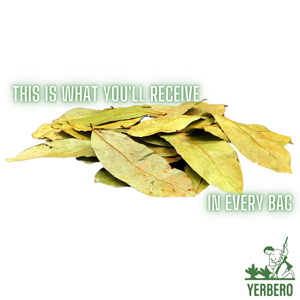 YERBERO whole leaves in a tea strainer ready to brew, enabling easy infusion control