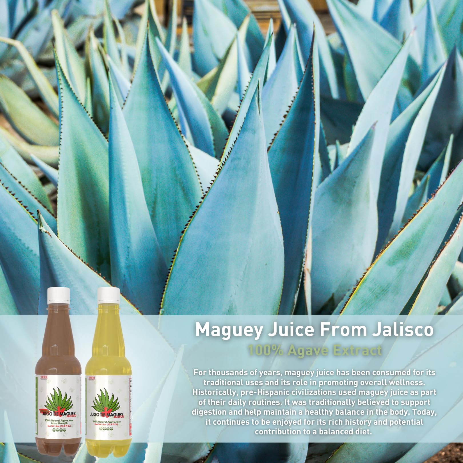 Yerbero in kitchen lifestyle scene showing everyday use and cultural heritage benefit