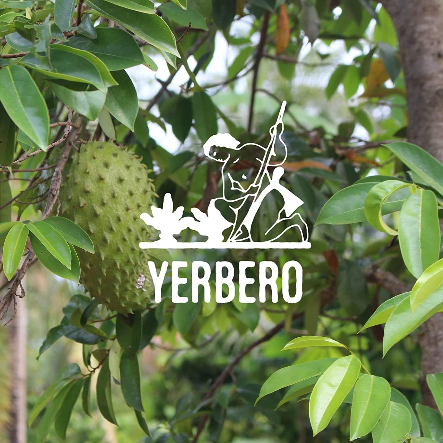 Yerbero portion size next to measuring spoon showing yield and economical supply
