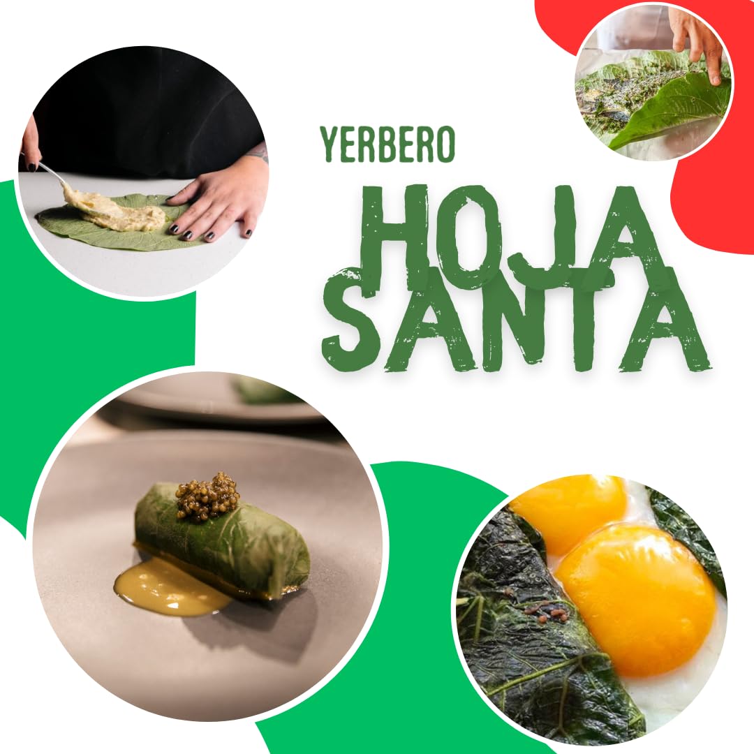 Yerbero tamales wrapped with Hierba Santa leaves illustrating authentic presentation