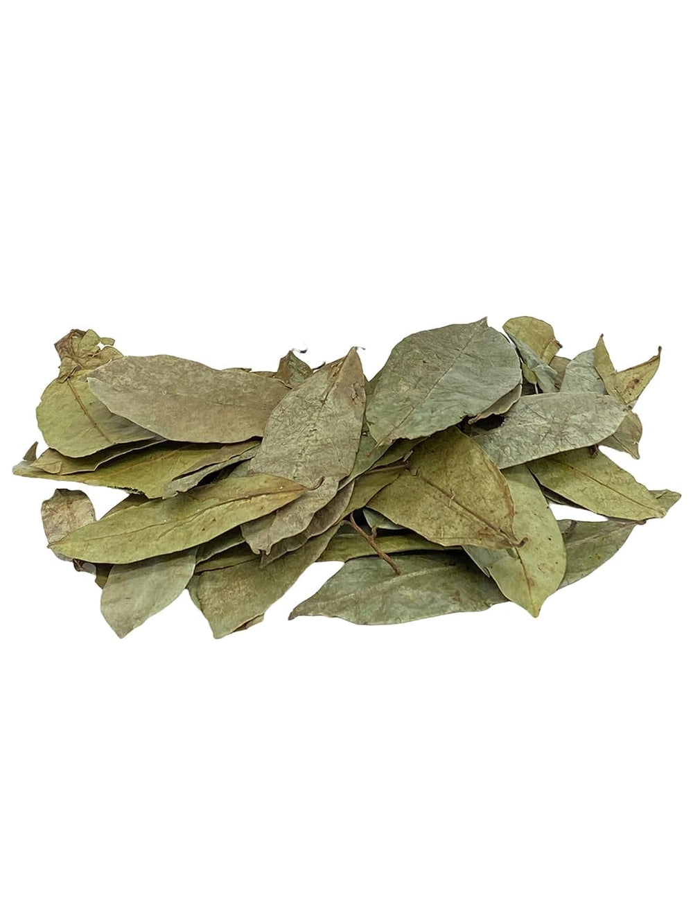 Yerbero brewed graviola tea in cup displaying clear amber color and inviting aroma