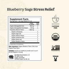 Yogi close-up of blueberry sage tea bag showing texture and inviting aroma