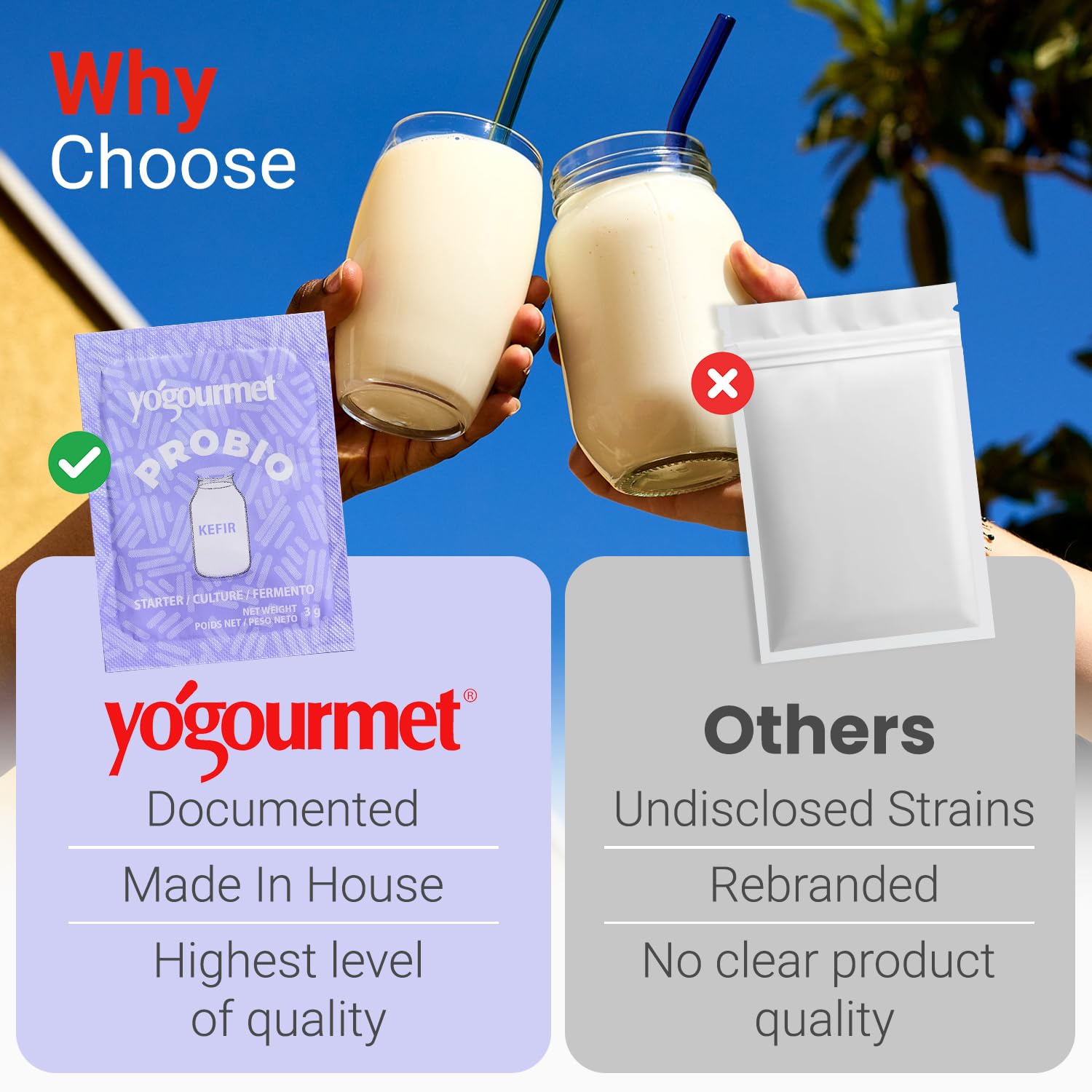 Yogourmet starter powder texture detail illustrating fine blend for fermentation
