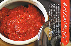 Spoonful close-up of Youki doubanjiang highlighting consistency and easy portioning benefit