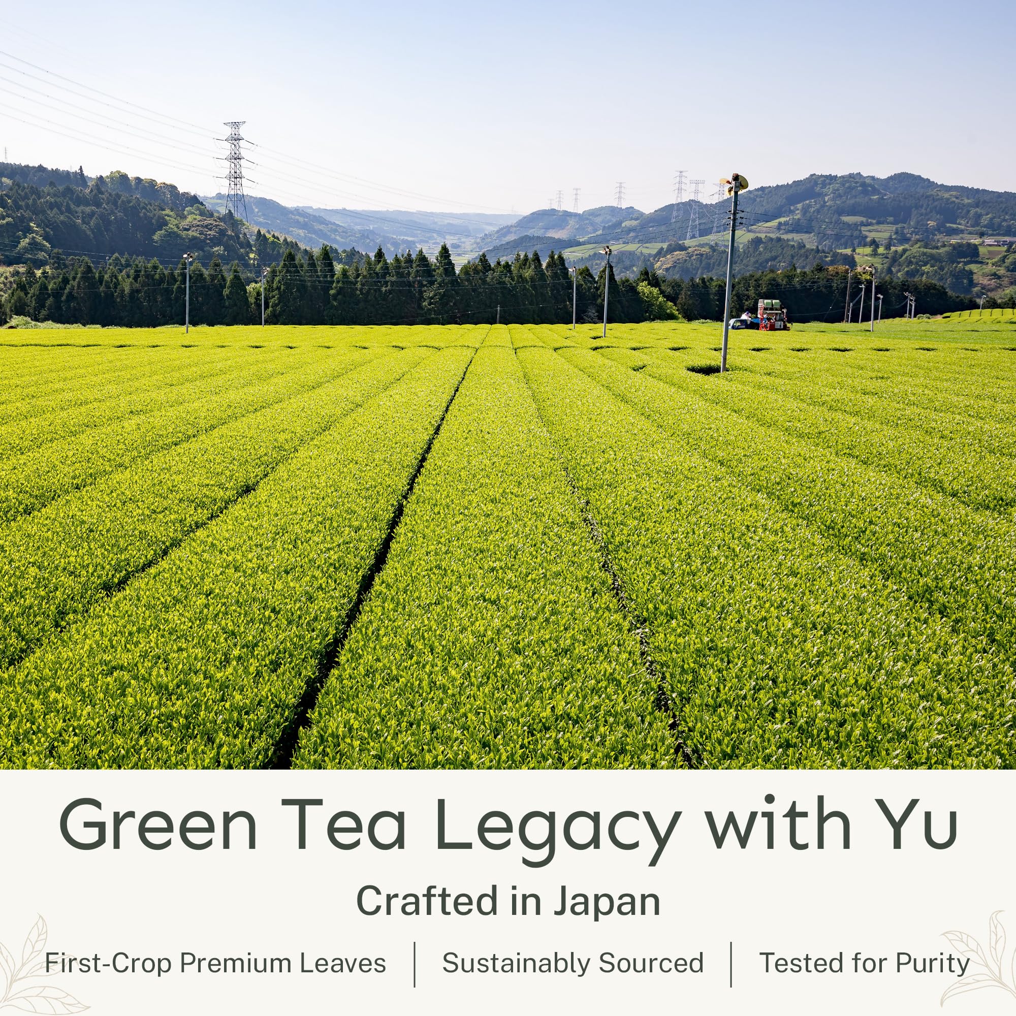 Yu green tea iced glass showing cold brew clarity and refreshing benefit