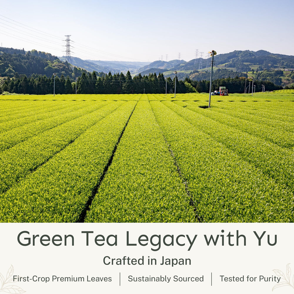 Yu green tea iced glass showing cold brew clarity and refreshing benefit