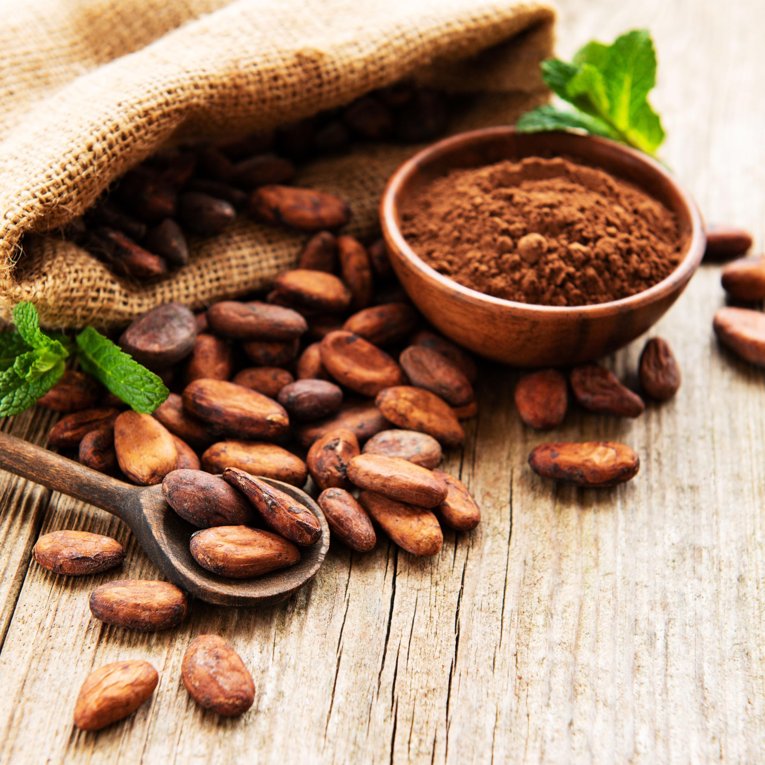 Yupik beans being used in a kitchen setting showing versatility for baking and chocolate making