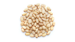 Yupik close-up of raw shelled kernels showing creamy texture and larger size