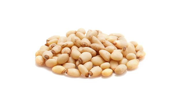 Yupik pine nuts in a bowl ready to snack or bake offering rich flavor boost