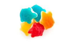 Yupik close-up of gummy turtles' texture and white belly for soft chew appeal