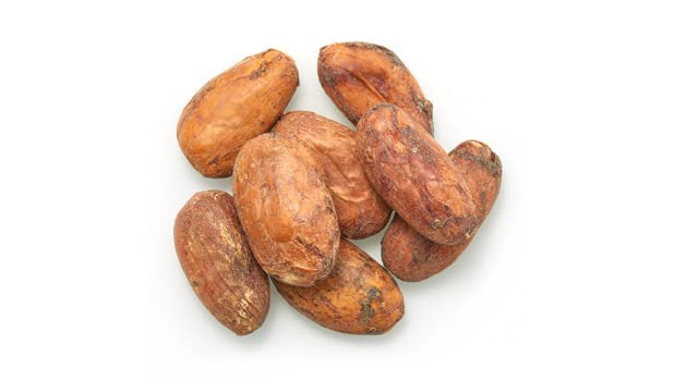 Yupik whole cacao beans close-up highlighting texture and natural fermentation flavor