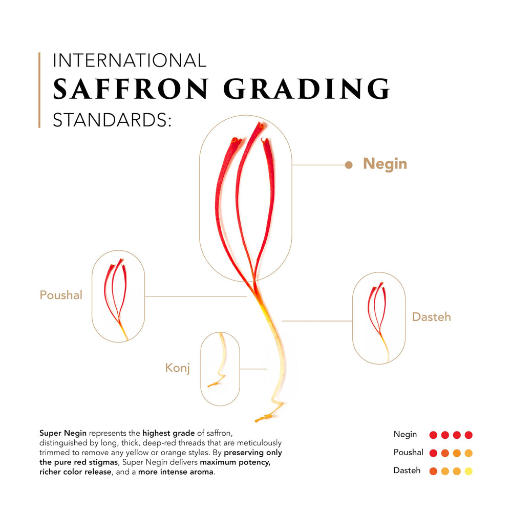 Zaran Saffron measured on spoon illustrating small amount needed and cost efficiency
