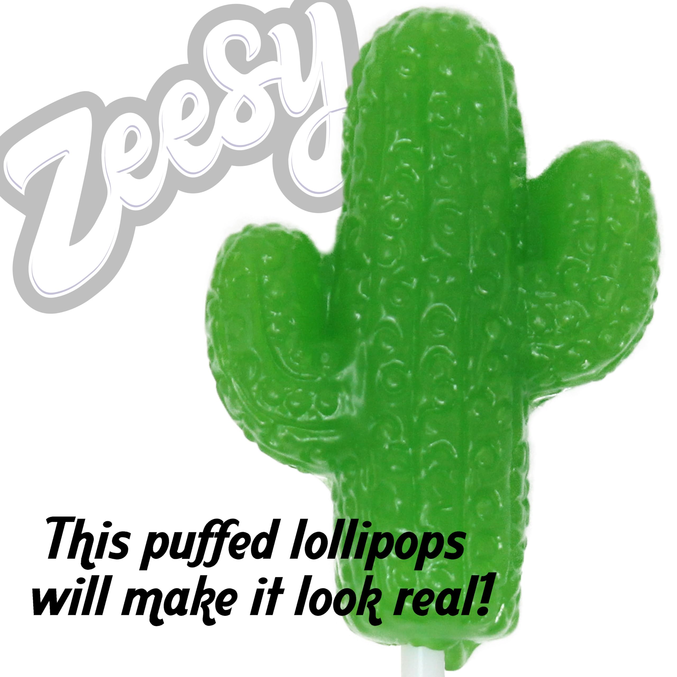 Zeesy lollipop next to a coin for size comparison showing portion and serving guidance