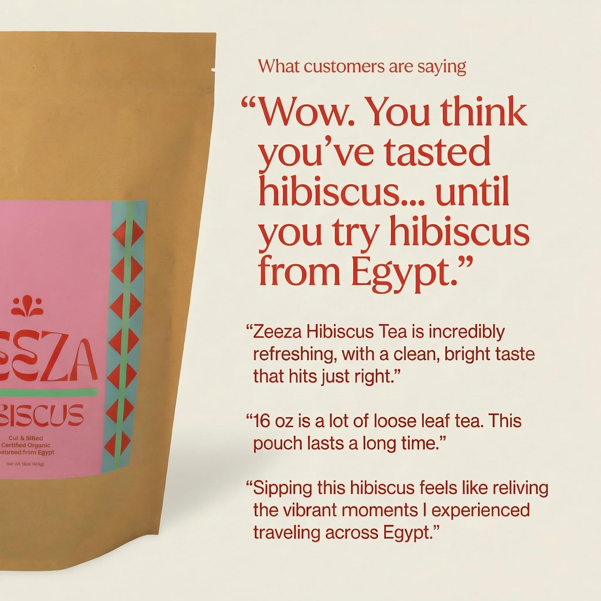 ZEEZA measured hibiscus on spoon with scale illustrating correct brewing portion