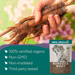 Cup of steeping burdock tea with Zhivana Organics roots showing warm, earthy infusion