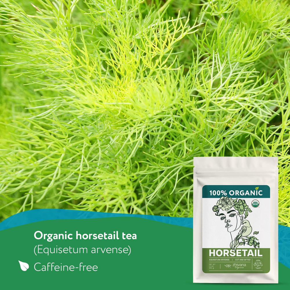 Zhivana Organics close-up of fine-cut horsetail highlighting texture and infusion ease