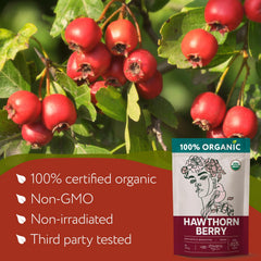Zhivana Organics loose hawthorn berries on a wooden spoon for easy measuring