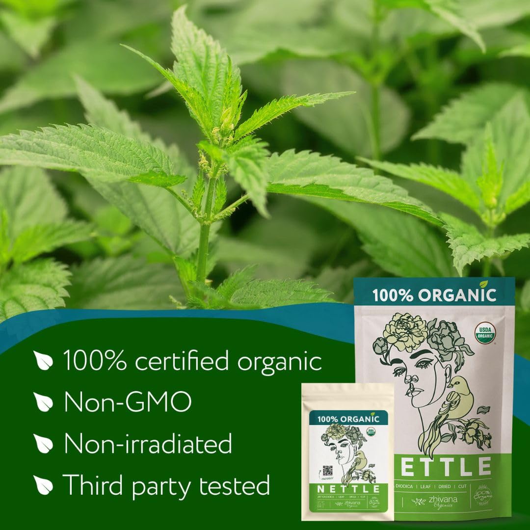 Zhivana Organics measuring spoon portioning nettle benefit: easy serving sizes for brewing