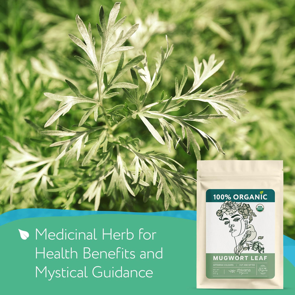 Zhivana Organics loose mugwort leaves close-up showing texture and quality