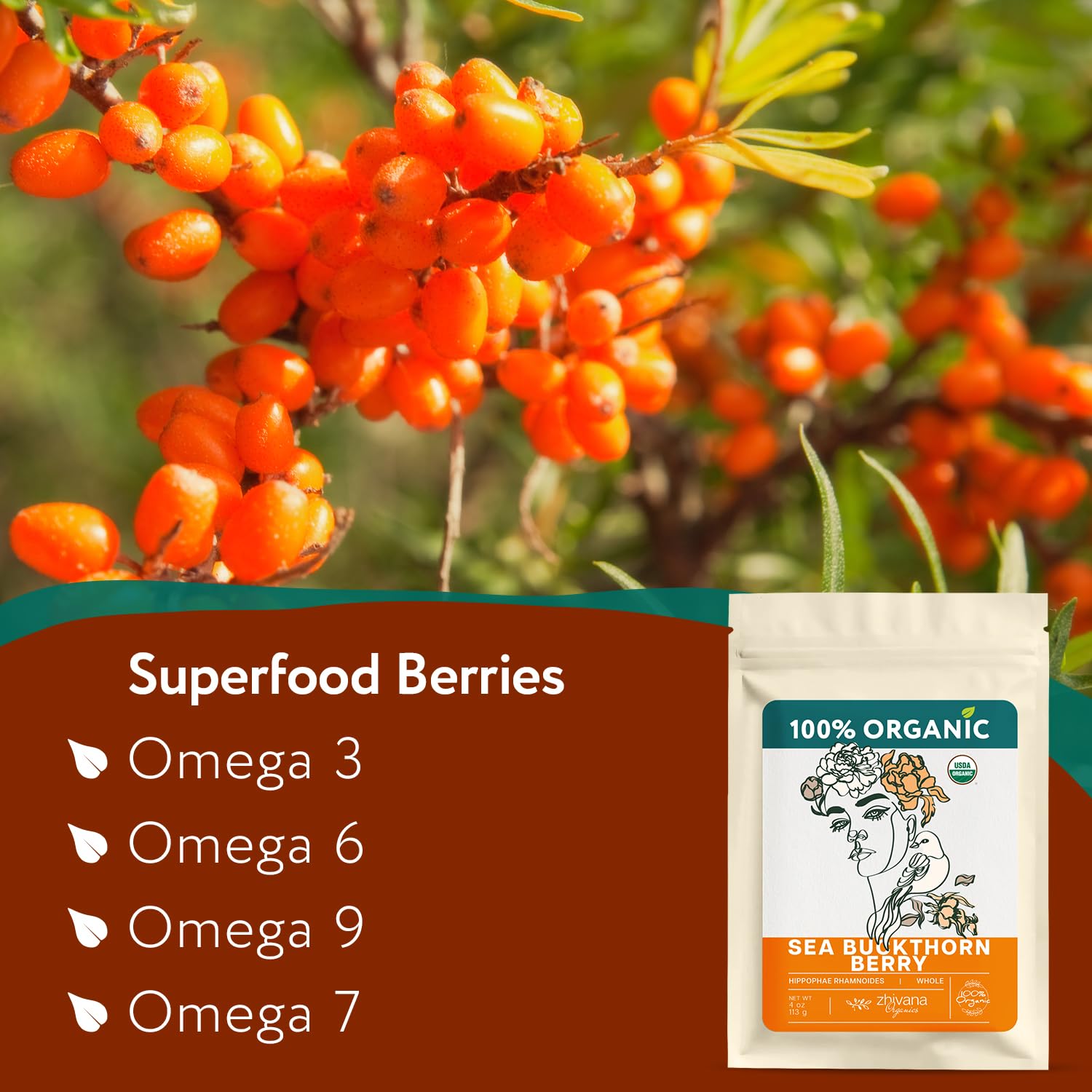 Zhivana Organics whole dried sea buckthorn berries close-up showing bright color and potency