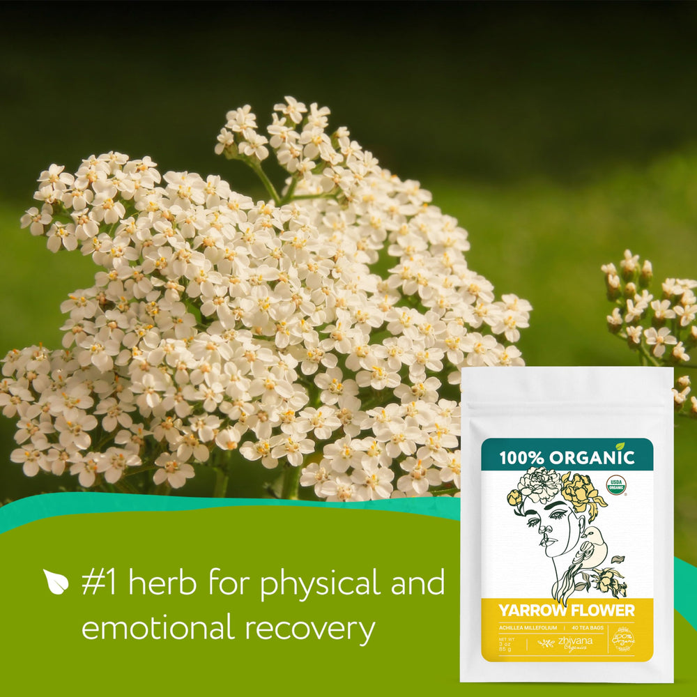Zhivana Organics close-up of dried yarrow flowers highlighting natural texture and flavor
