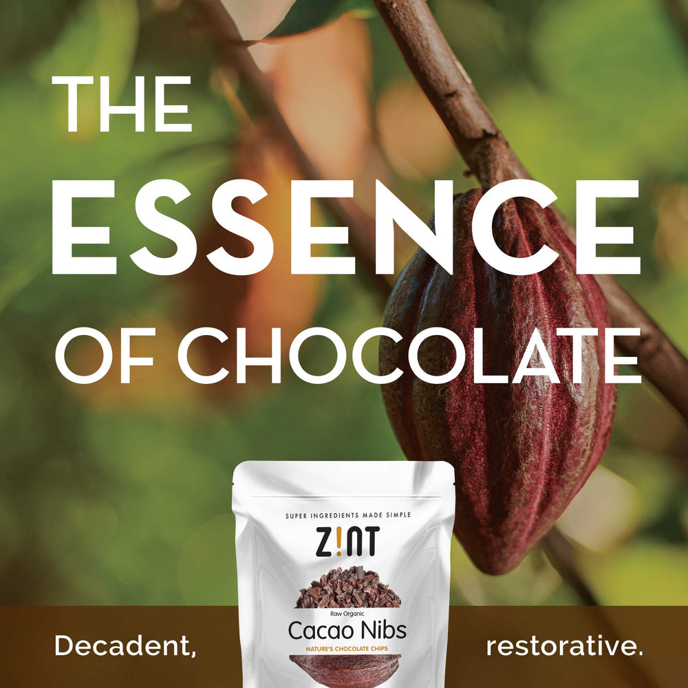 Zint close-up of cacao nibs texture highlighting crunchy raw chocolate flavor