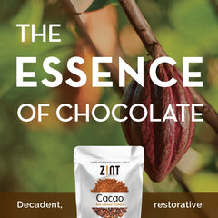 Zint cacao powder close-up fine texture showing rich color and smooth mixability